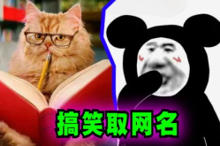 好玩的网名 搞怪,2025年度热门网名大盘点