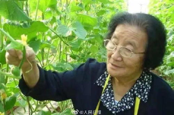 娱乐吃瓜菌生活中,解码生活趣味，传递正能量