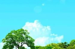 手机壁纸图片风景,捕捉四季之美，尽享视觉盛宴