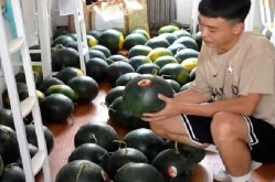 当前｜ ，幼红书及谁谈女明星没真恩人？这三位的撸串把内娱友谊按正在地上摩擦