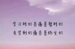 每日心灵鸡汤经典语录励志,励志语录点亮人生之路