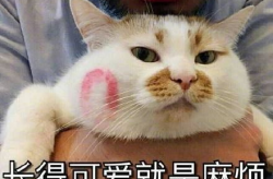 搞怪表情图片,搞怪表情图片大集合，笑点满满，欢乐无限