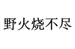 野火烧不尽打一字答案,生命的坚韧与希望的力量