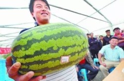 00后幼花卖身瓜？冯绍峰踩前妻？郑关惠子被买股了？释幼龙退圈了？姨太问答，《黄帝内经·灵枢》第七十二章《通天》原文-网友拍到Angelababy带儿子正在香港购物还去看了blackpink演唱会-四人
