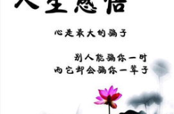 最经典的人生感悟,经典感悟启示录